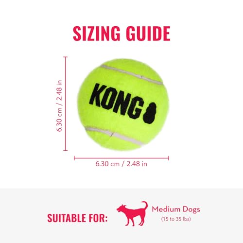 KONG Cozie Ali Alligator and SqueakAir Balls, 3 Pack, for Medium Dogs - size: Medium