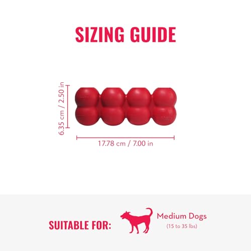 KONG Ring and Goodie Ribbon, Durable Rubber Dog Toys, for Medium Dogs - size: Medium