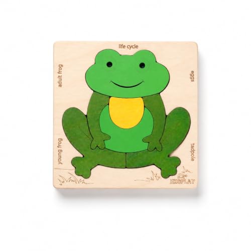 Life Cycle of a Frog 15 Piece Wooden Multilayered Jigsaw Puzzles for Kids Educational Toy and Gift for Boys & Girls 3 Years and Above - style: Lifecycle of a Frog