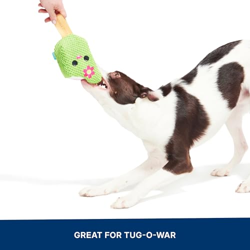 BarkBox BARK Consuela the Cactus Pop - 2-in-1 - Large - color: Consuela Pop