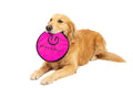 Hyper Pet Flippy Flopper Flying Disc Dog Toy 9 Inch, Floats, Colors Vary - size: Pack of 1
