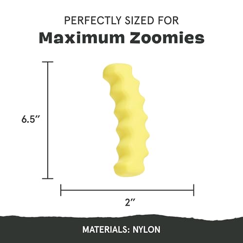 BarkBox Crinkle Fry Dog Toy for Large Dogs, Super Tough Nylon Construction for Aggressive Chewers and Designed for Durable Playtime - color: Crinkle Fry-Large