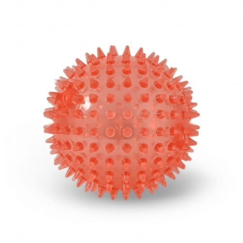 Squeaky Spiky Dog Ball for Teeth Cleaning & Gum Massage 2 Inch Puppy Small Dogs Red | Spiny TPR Rubber Chew Toy for Fetch Play Interactive Bouncy Dental Ball Durable BPA Free Nontoxic Floats - size: 2 Inch Red Ball 1-Pack