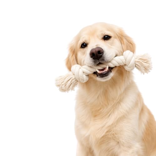 Dog Rope Toy for Aggressive Chewers, Organic Dog Toys, 15 Inch Long X 1-1/8 Inch Thick Indestructible, Heavy Duty Dog Rope Toy (2 Knots) - size: 2 Knots