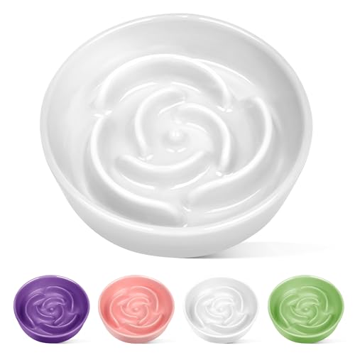 TRUVIC Ceramic Slow Feeder Dog Bowls Small Breed, 0.6 Cup Slow Feeder Cat Bowls for Fast Eaters, Ceramic Dog Food Dish no Black Chin, Puzzle Bowl for Small Dogs and Cats, White - color: 01-White, size: S-0.6 Cups