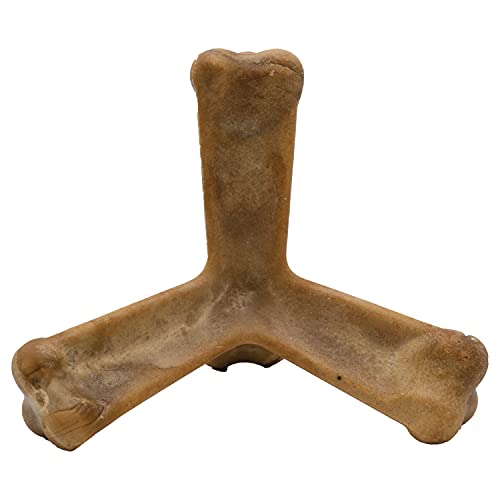 N-Bone Quado Interactive Chew, Ginormous Peanut Flavor (6 Pack), Large - size: 6.8 Ounce (Pack of 6)