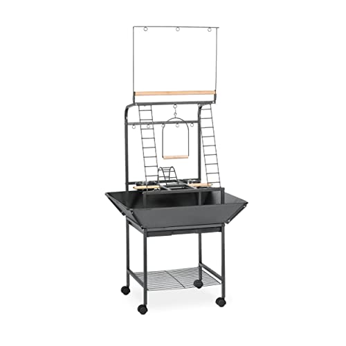 Prevue Pet Products Parrot Play Stand with Wheels - Black - size: Small