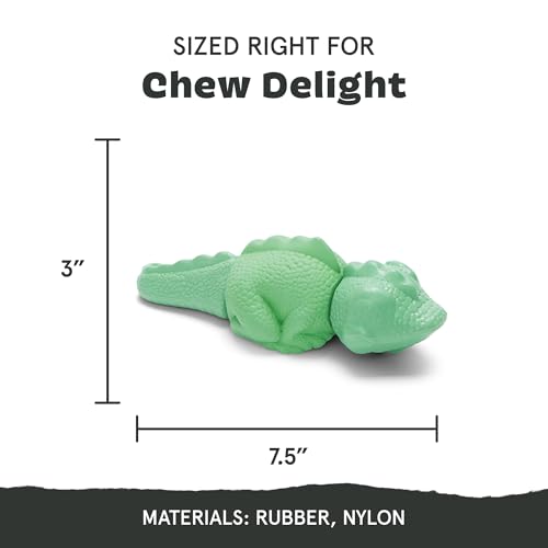 BarkBox Ilana the Iguana Super Chewer - Toy for Medium to Large Dogs - color: Illana the Iguana, size: Medium/Large