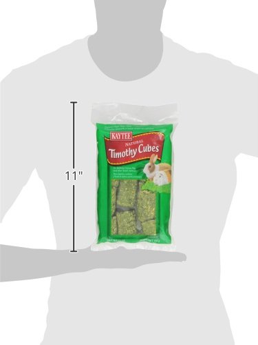 Kaytee Timothy Hay Blend Cubes for Rabbits, Guinea Pigs & Chinchillas - size: 1 Pound (Pack of 1)