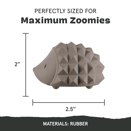 BarkBox Sven the Hedgie Rubber Dog Toy - Toy for Small Dogs - color: Sven the Hedgie - Small