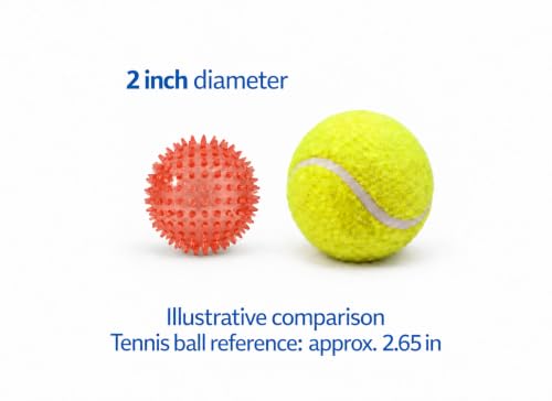 Squeaky Spiky Dog Ball for Teeth Cleaning & Gum Massage 2 Inch Puppy Small Dogs Red | Spiny TPR Rubber Chew Toy for Fetch Play Interactive Bouncy Dental Ball Durable BPA Free Nontoxic Floats - size: 2 Inch Red Ball 1-Pack