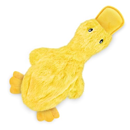 Best Pet Supplies Interactive Squeaky Dog Chew Toy, Ideal Dog Toys for Chewers, Small, Medium & Large Dogs, and Fetch Lovers - Crinkle Duck (White, Yellow & Green), Large - color: Crinkle Duck (White, Yellow & Green), size: Large