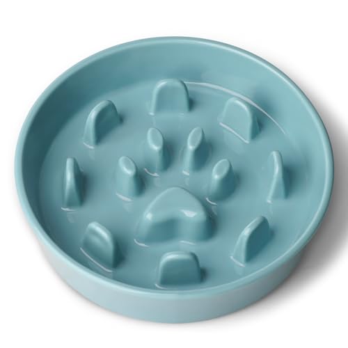 Ceramic 1.5 Cup for Small & Medium Breeds Slow Feeder Dog Bowl (Turquoise) - color: Turquoise