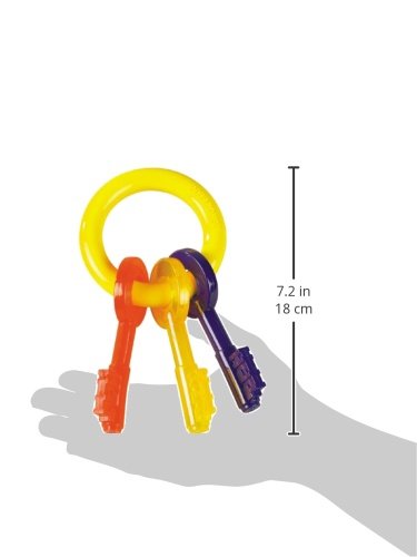Nylabone Puppy Chew Teething Key Ring Dog Chew Toy, Bacon Flavor, Small - size: Small