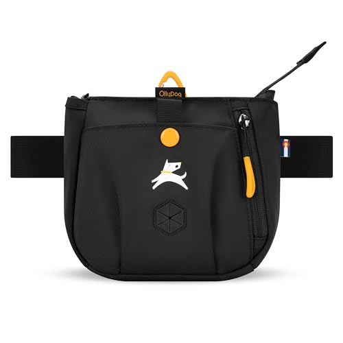 OllyDog Backcountry Day Bag | Hands-Free Dog Training Treat Pouch | Fanny/Hip Pack with Zipper Closure & Built-in Poop Bag Dispenser | Removable Waist Clip (Raven S'25) - color: Raven S'25