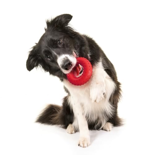Playology Dual Layer Ring Dog Toy for Aggressive Chewers, Beef Scent - size: Medium, style: Beef