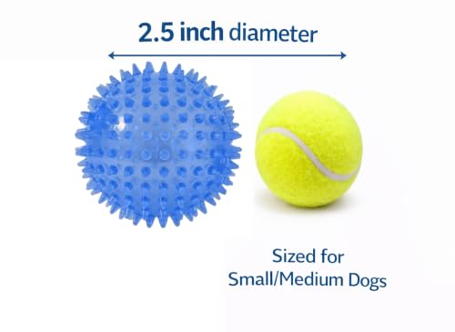 Squeaky Spiky Dog Ball for Teeth Cleaning & Gum Massage 2.5 Inch Small Medium Dogs Blue | Spiny TPR Rubber Chew Toy for Fetch Play Interactive Bouncy Dental Ball Durable BPA Free Nontoxic Floats - size: Blue Ball 1-Pack