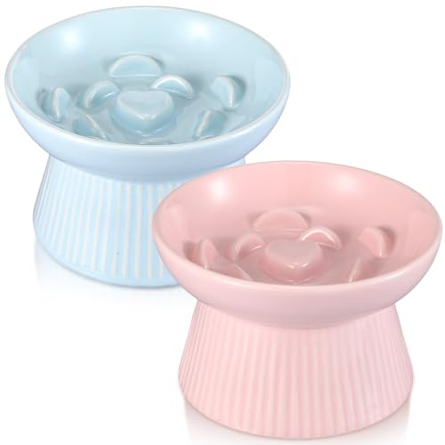 Layhit 2 Pack Raised Slow Feeder Cat Bowls Ceramic Elevated Cat Food Bowls Anti Vomiting Slow Feeder for Dog and Kitten for Dry and Wet Food(Blue, Pink) - color: Blue, Pink