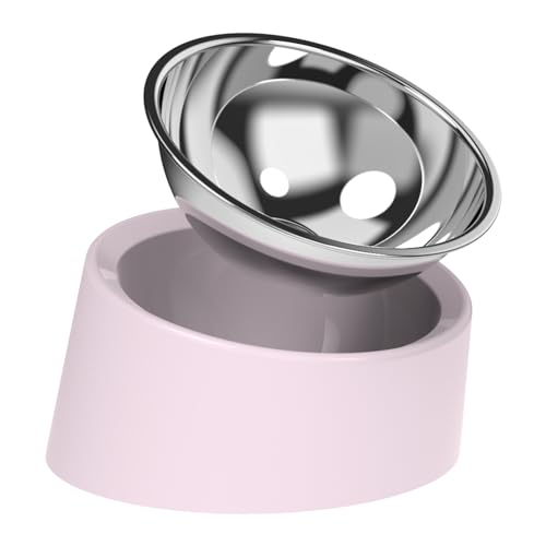 15° Tilted Slow Feeder- Non-Spill & Non-Slip Stainless Steel Dish for Small & Cats - color: Pink, size: M