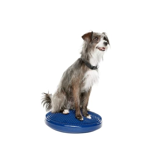 FitPaws® Dog Balance Disc, Exercise Equipment, Rehabilitation + Training, - color: Blue, size: 14"