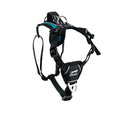 FitPaws® Made to Move® No-Pull Dog Harness, Neck Buckle, Teal, Small - color: Teal, size: Small