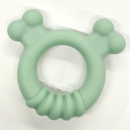 Nylabone Puppy Chew Sensory Material Soothing Ring Dog Chew Toy, Small