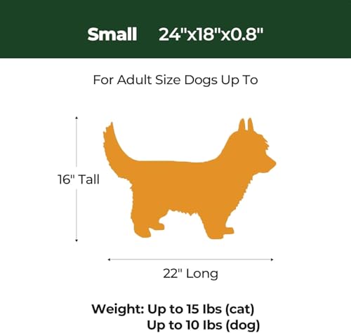 BALANCE Dog Crate Pad, Dog Foam Crate Mat Kennel Pad, Washable Water-Resistant Pet Bed Flat Dogs Cage Mat for Small Dogs - color: Green, size: 24.0"L x 18.0"W x 0.8"Th