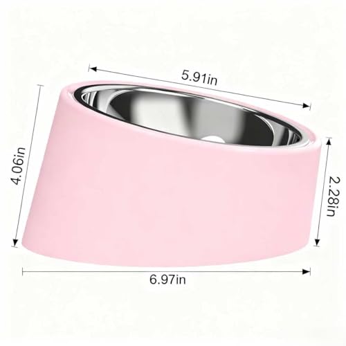 15° Tilted Slow Feeder- Non-Spill & Non-Slip Stainless Steel Dish for Small & Cats - color: Pink, size: M