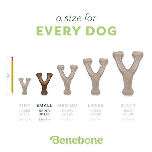 Benebone 2-Pack Wishbone Chew Toy for Aggressive Chewers, Real Bacon, Small - size: 2 Pack - Small