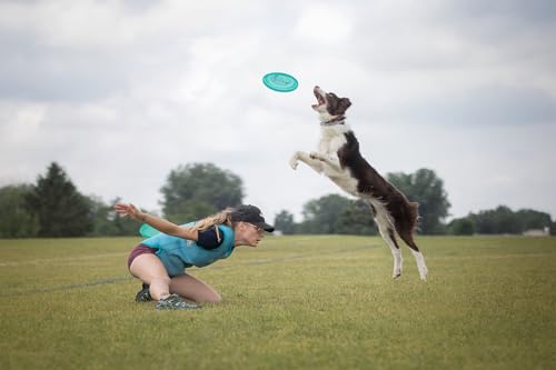 Hero Disc USA Hero Air 235 Dog Disc, Outdoor Dog Toy and Pet Disc, Lightweight Dog Flying Disc Pack of 2 (Pink)