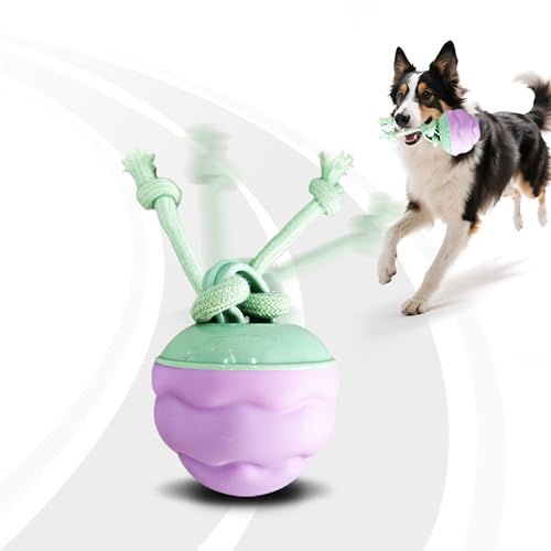 Interactive Dog Toys [2025 Upgrade] – Smart Dog Ball, Automatic Motion-Activated Rolling, Random Path, Squeaky Sounds, USB-C Rechargeable LED Light, Indoor/Outdoor Use
