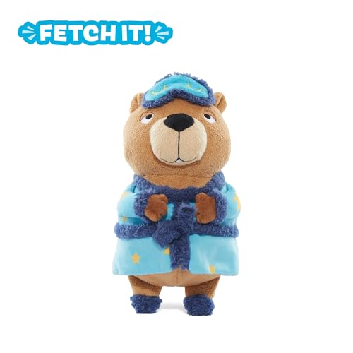 BarkBox Groundhog Dave Dog Toy - Toy for Small to Medium Dogs - color: Groundhog Dave