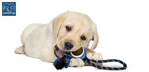 Dog Rope Toy with Tennis Ball (11”) – 1-Pack Blue - size: 1 Rope Dog Toy Blue Ball FBA