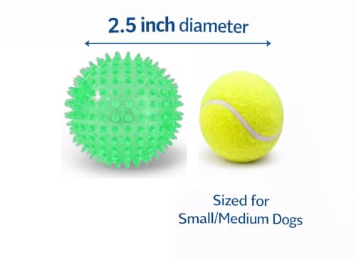Squeaky Spiky Dog Ball for Teeth Cleaning & Gum Massage 2.5 Inch Small Medium Dogs Green | Spiny TPR Rubber Chew Toy for Fetch Play Interactive Bouncy Dental Ball Durable BPA Free Nontoxic Floats - size: Green Ball 1-Pack