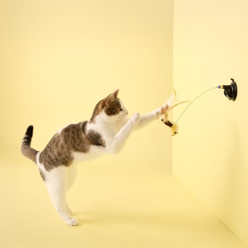 Playology Cat Toys - Suction Cup Bird - Interactive Cat Toy for Indoor Cats