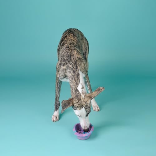 CHEWFFON Dog & Cat Lick Mat Bowl with Suction Cups, Cotton Candy Small - color: Cotton Candy, size: Small