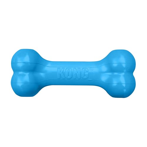 KONG Puppy Goodie Bone, Natural Rubber Chew, for Medium Puppies, Blue - color: Blue, size: Medium
