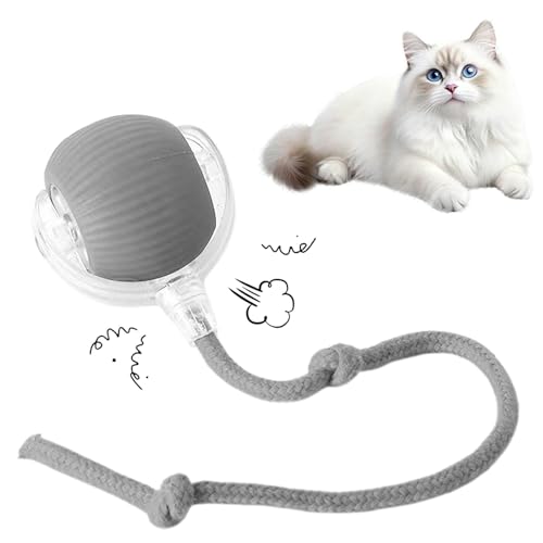 Cat Toy, 360° Automatic Rolling Smart Pet Ball Toys, Motion-Activated, Rechargeable, Four Modes, Three Speed Adjustment, Solve Your Cat's Boredom in Seconds (Grey) - color: Gary
