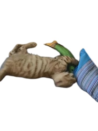 Cat Toys Saury Fish, 3 Pack, Catnip Crinkle Sound, Soft and Durable, Interactive Kitten Kicker for Indoor Kitty Exercise 9.4 Inches for All Breeds