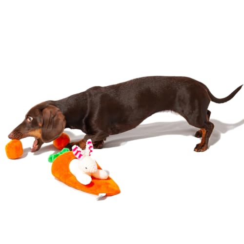 Midlee Hide a Toy Carrot Easter Dog Toy