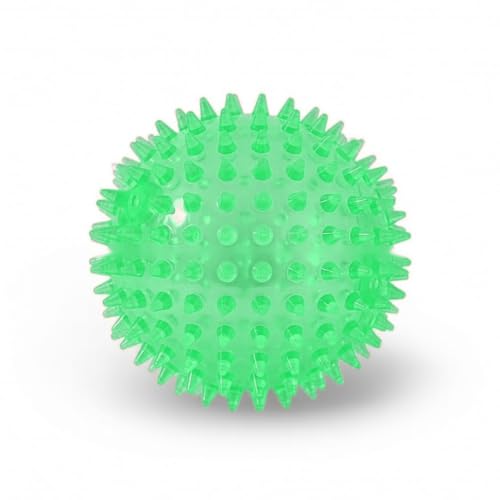 Squeaky Spiky Dog Ball for Teeth Cleaning & Gum Massage 2.5 Inch Small Medium Dogs Green | Spiny TPR Rubber Chew Toy for Fetch Play Interactive Bouncy Dental Ball Durable BPA Free Nontoxic Floats - size: Green Ball 1-Pack