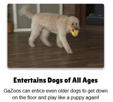 Interactive Dog Toy (Baseball), Motion Activated Bouncing Talking Pet Toy, Exercise and Entertainment for Dogs and Puppies