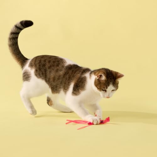 Playology Cat Toys - Catnip Infused Rubber Lizard with Ribbon, Value 2 Pack - style: Lizard 2 Pack