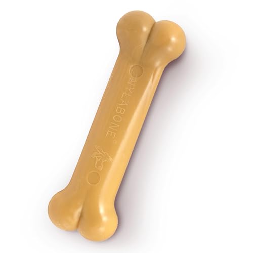 Nylabone Power Chew Original Bone Chew Toy, Peanut Butter Flavor, Small - size: Small