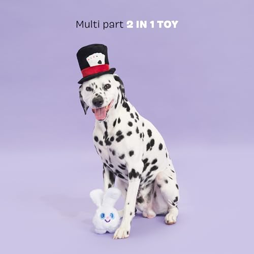 BarkBox Hat Hare - color: Hat Hare