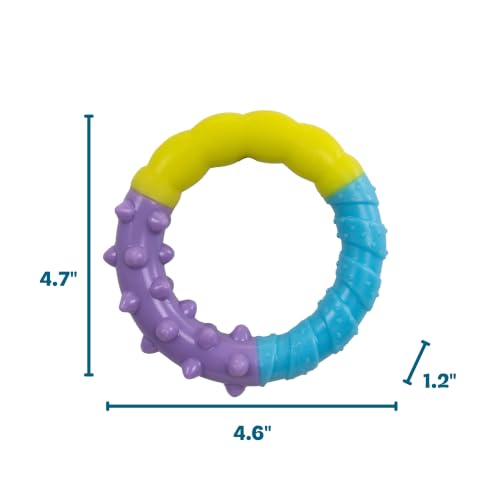 Grow-With-Me Ring Dental Dog Chew Toy, Bounces & Floats, 4.7" - color: Ring