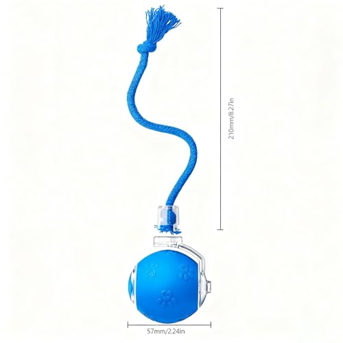 Speed 2.0 Tail Interactive Cat Toys, Rechargeable Ball for Indoor Cats - color: Blue tail