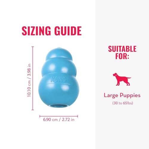 KONG Puppy, Natural Rubber Teething Chew Toy, for Large Puppies, Blue - color: Blue, size: Large (Pack of 1)