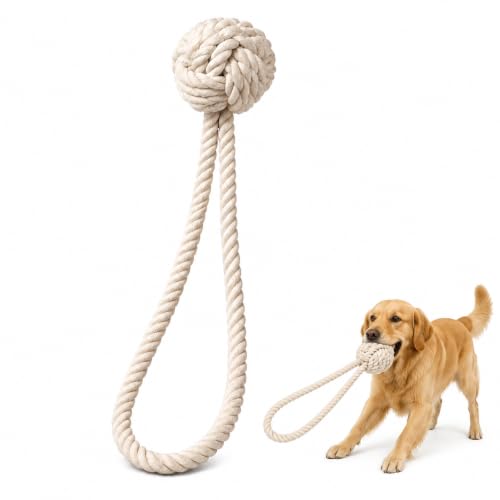 Dog Rope Toy with Ball, 20-Inch Overall Length with 4-Inch Rope Ball for Medium and Large Dogs, Strong and Durable Washable Cotton Tug Toy for Indoor and Outdoor Play, Tug-of-War and Fetch, White