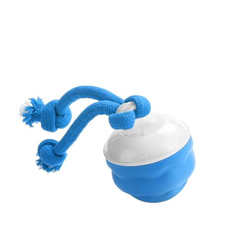 Interactive Dog Ball, Blue USB-C Rechargeable Rolling Toy